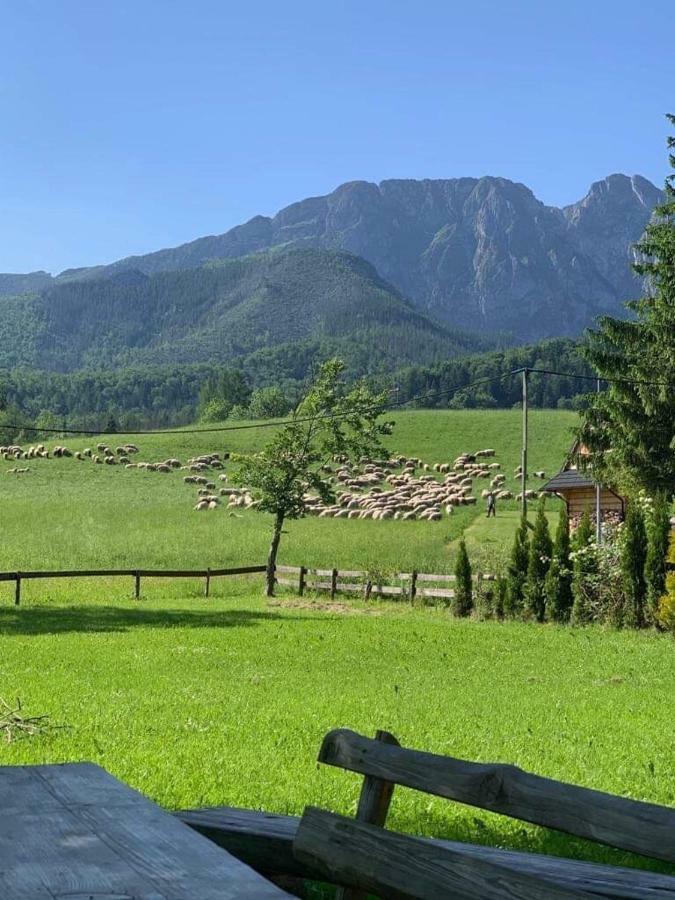 Bacowka Na Bundowkach Appartement Zakopane Buitenkant foto